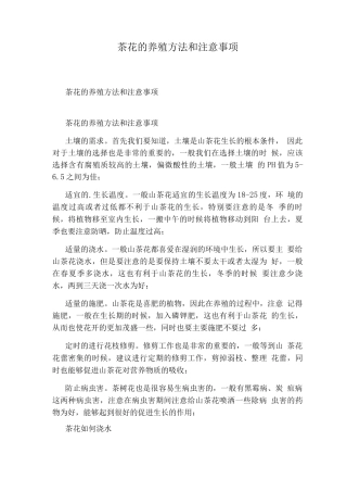 茶花的养殖方法和注意事项