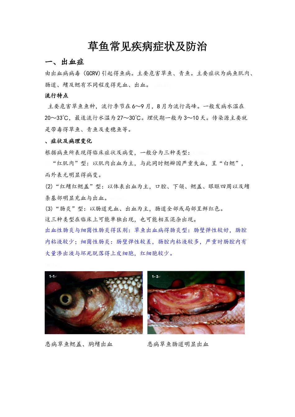 草鱼常见疾病及防治_第1页