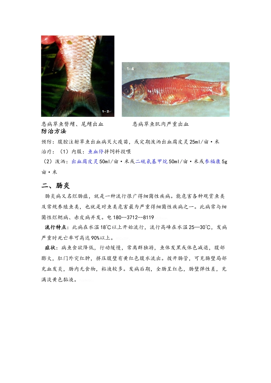 草鱼常见疾病及防治_第2页