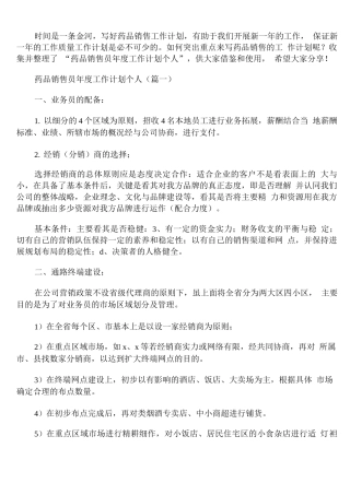 药品销售员年度工作计划个人