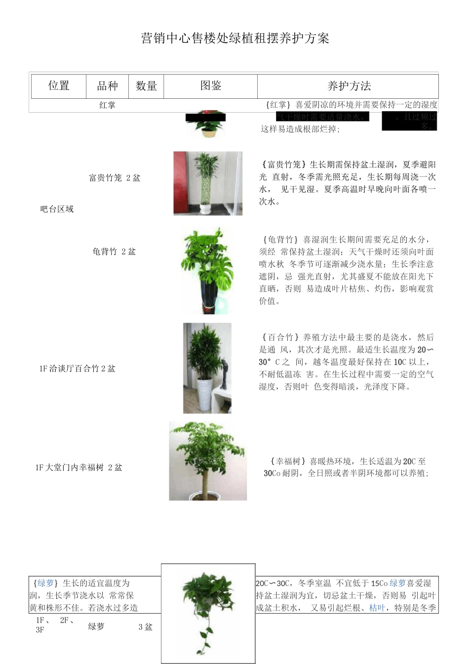 营销中心绿植租摆养护方案_第1页