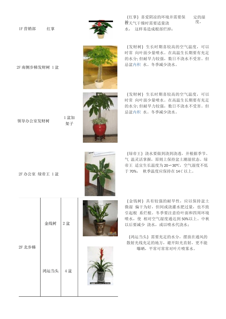 营销中心绿植租摆养护方案_第3页