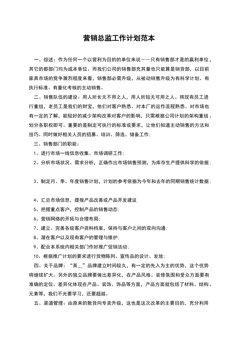 营销总监工作计划范本_第1页