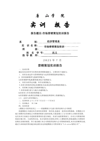 营销策划实训报告