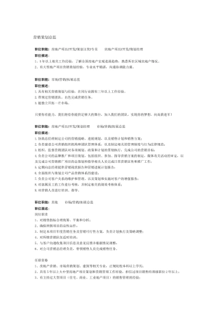 营销策划总监岗位职责
