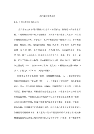 蒸汽爆破技术基础
