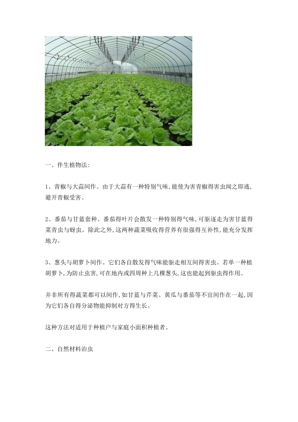 蔬菜病虫害防治_第2页