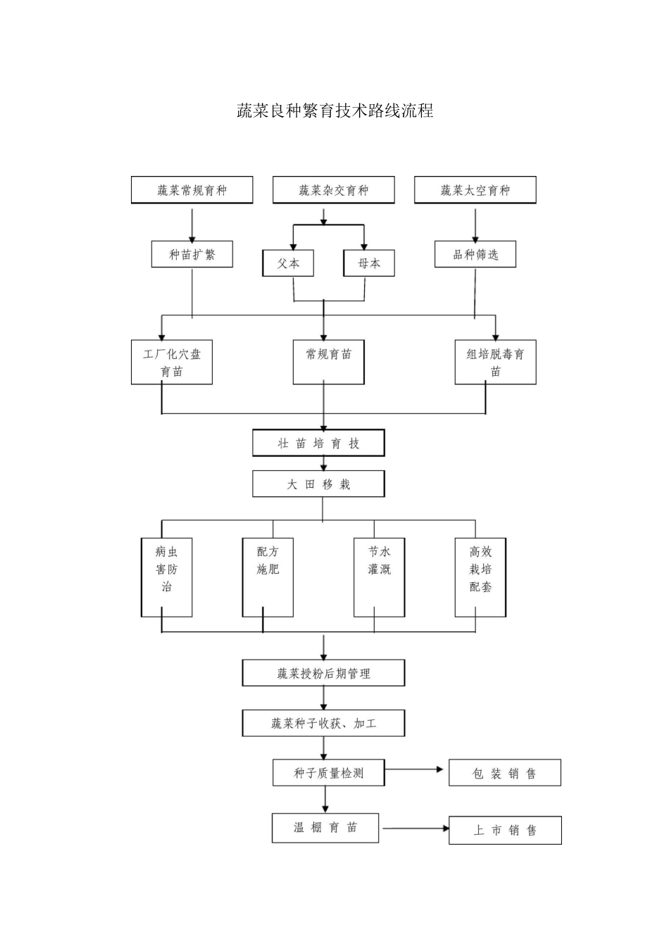 蔬菜良种繁育技术路线流程_第1页
