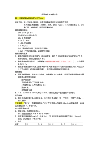 蛋白提取步骤