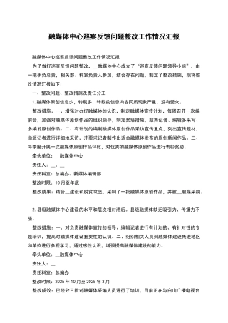 融媒体中心巡察反馈问题整改工作情况汇报