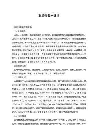 融资借款申请书