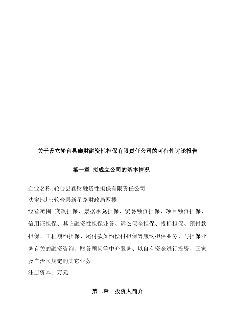 融资项目可行性研究报告 _第2页