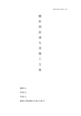 螺杆洞封堵专项施工方案