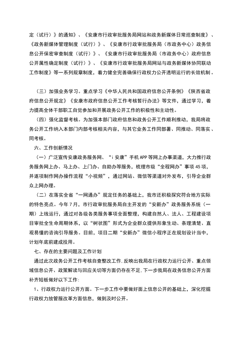行政审批服务局2025年政务公开工作自查报告_第3页