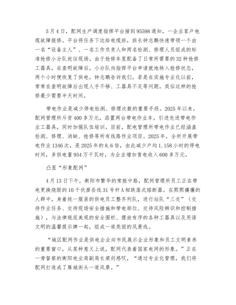 衡阳电业局配网专业化管理探析_第3页