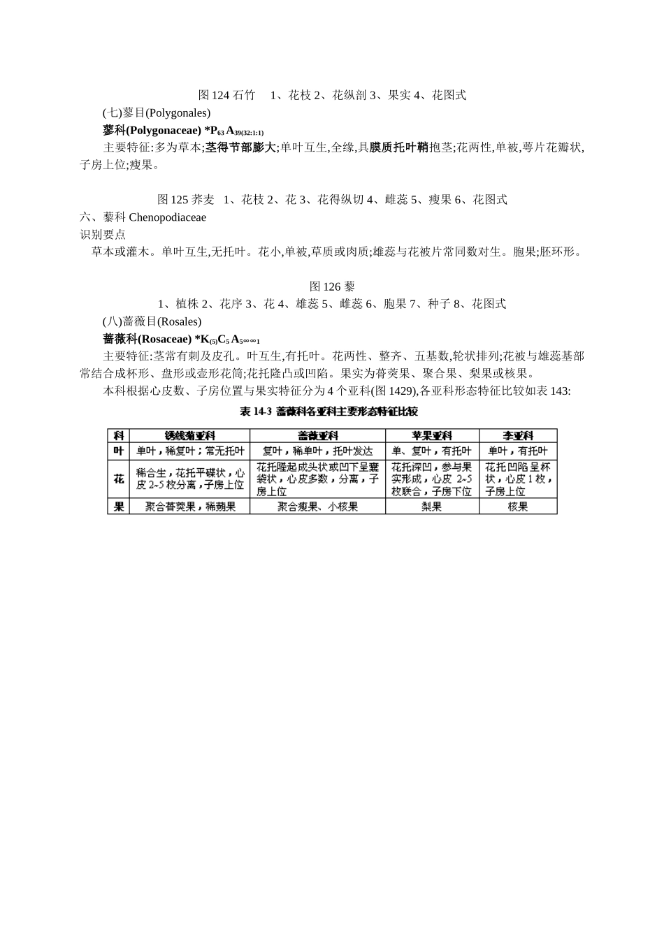 被子植物的分科概述_第3页