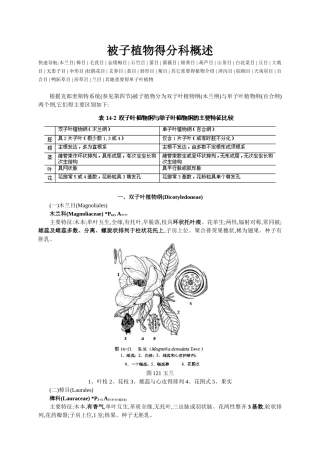 被子植物的分科概述