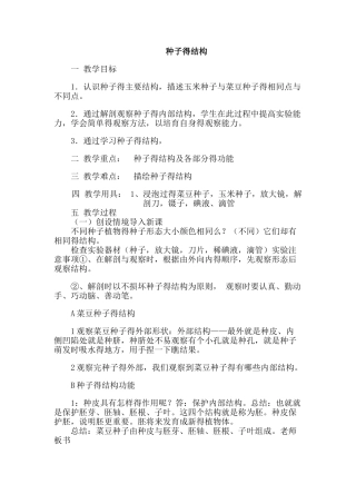 观察种子的结构教案