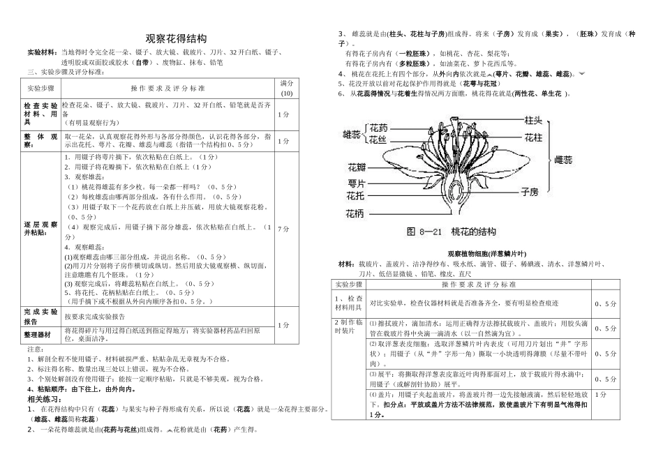 观察花的结构_第1页