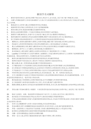 解剖学名词解释