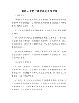 触电人身伤亡事故现场处置方案