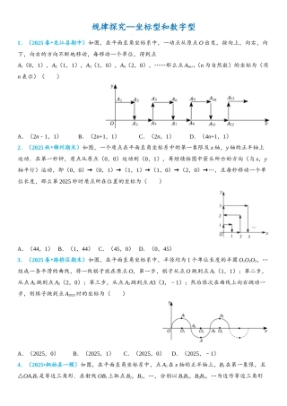 2026年中考数学压轴题专项练习-规律探究—坐标型和数字型（学生版+名师详解版）
