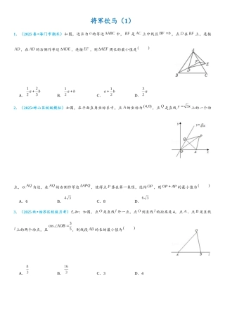 2026年中考数学压轴题专项练习-将军饮马（学生版+名师详解版）