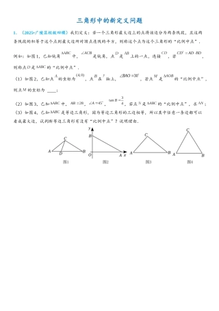 2026年中考数学压轴题专项练习-三角形中的新定义问题（学生版+名师详解版）