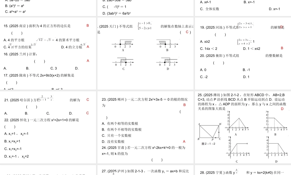 2026年中考数学题型专项突破 -专题一　 选择题突破 课件