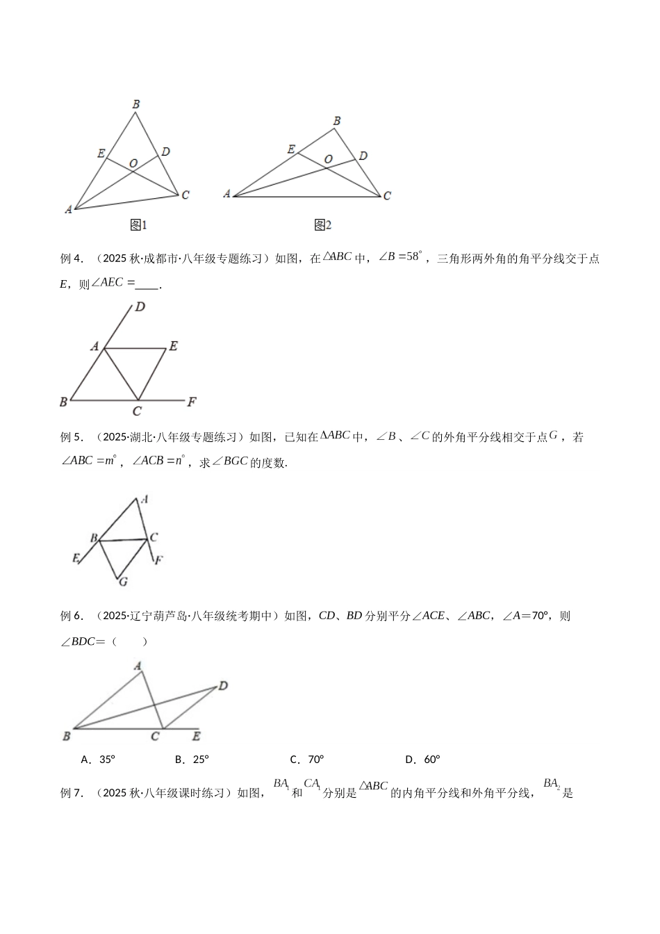 26年中考数学几何模型解读与训练专题05三角形中的导角模型-双角平分线（三角形）模型（学生版+名师详解版）_第3页