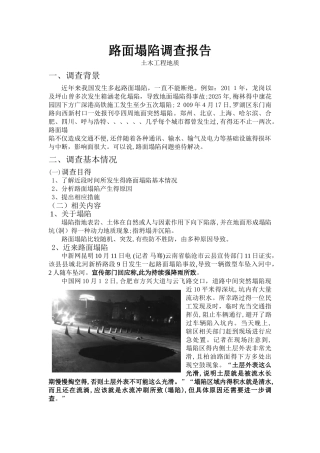 路面塌陷调查报告