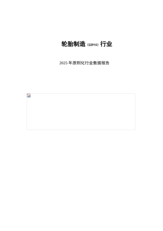 轮胎制造行业报告