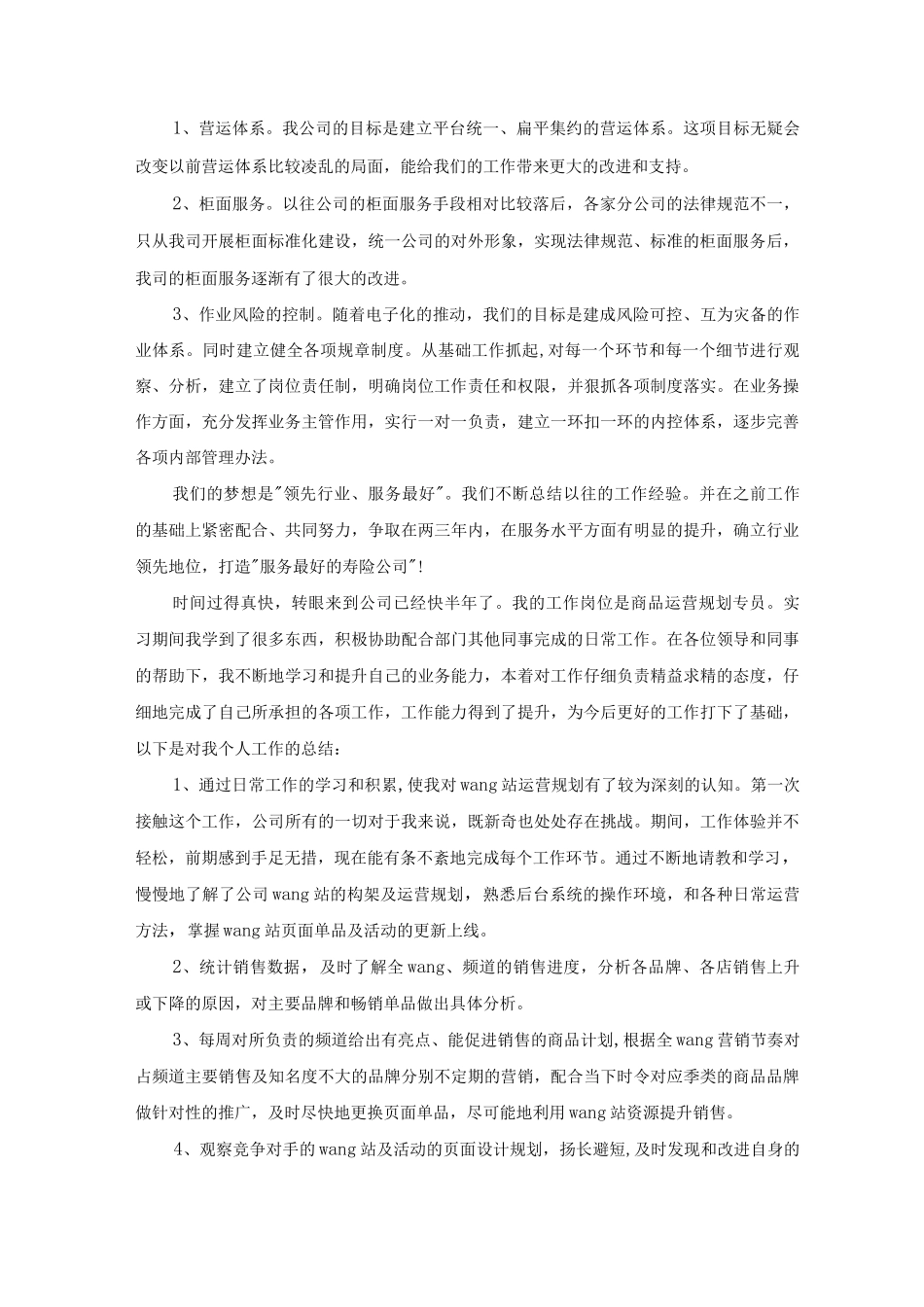 运营人员年终总结和下年工作计划_第2页