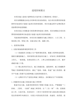 进度控制要点