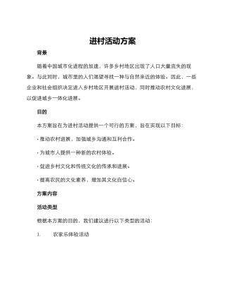 进村活动方案