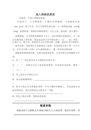 迷人的海滨夏夜