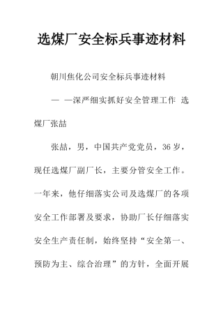 选煤厂安全标兵事迹材料