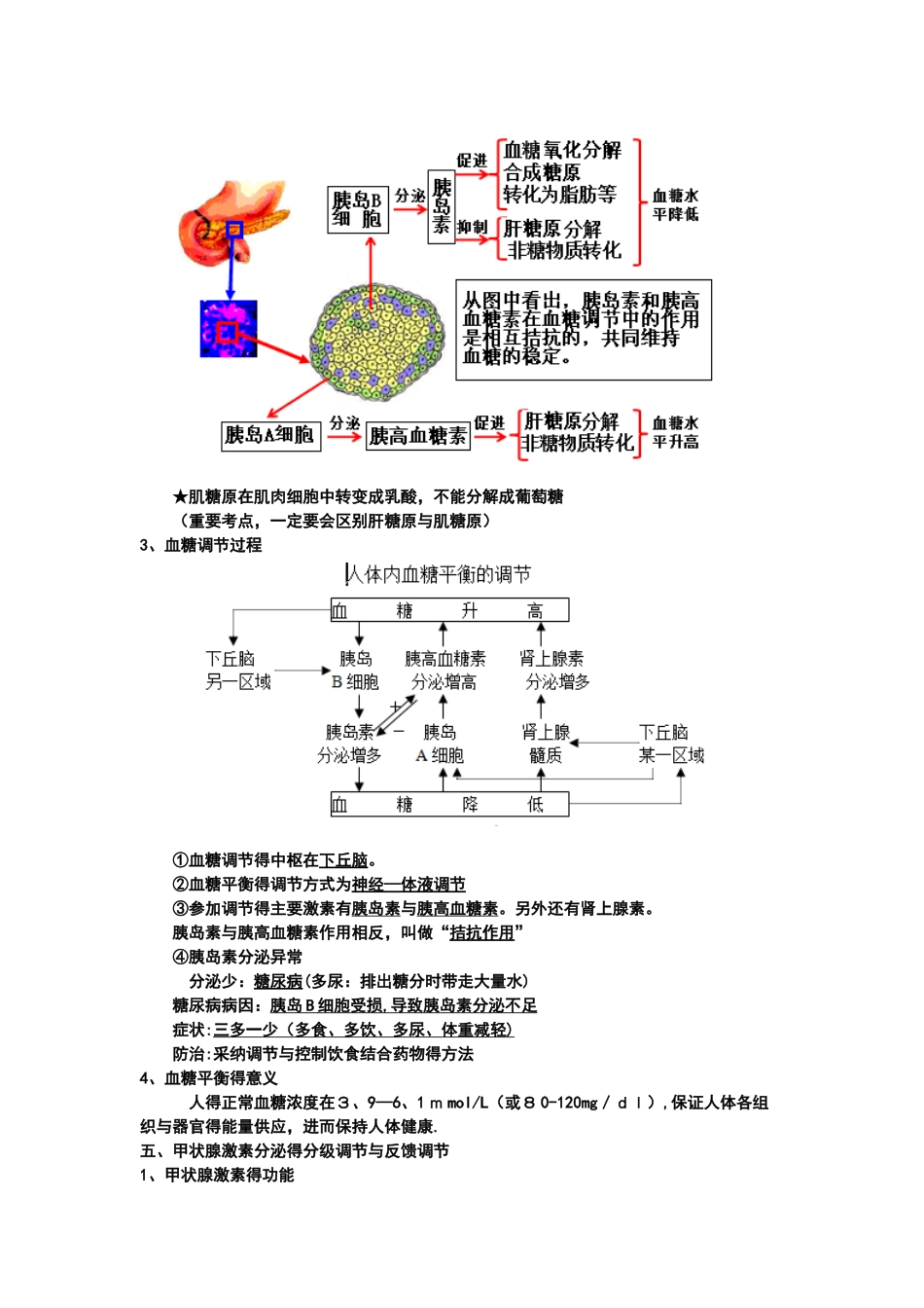 通过激素的调节_第2页