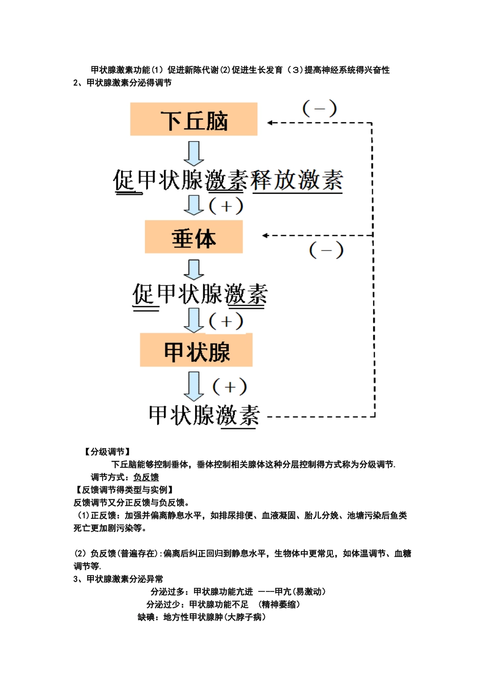 通过激素的调节_第3页