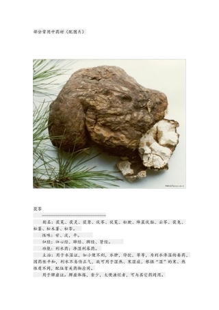 部分常用中药材