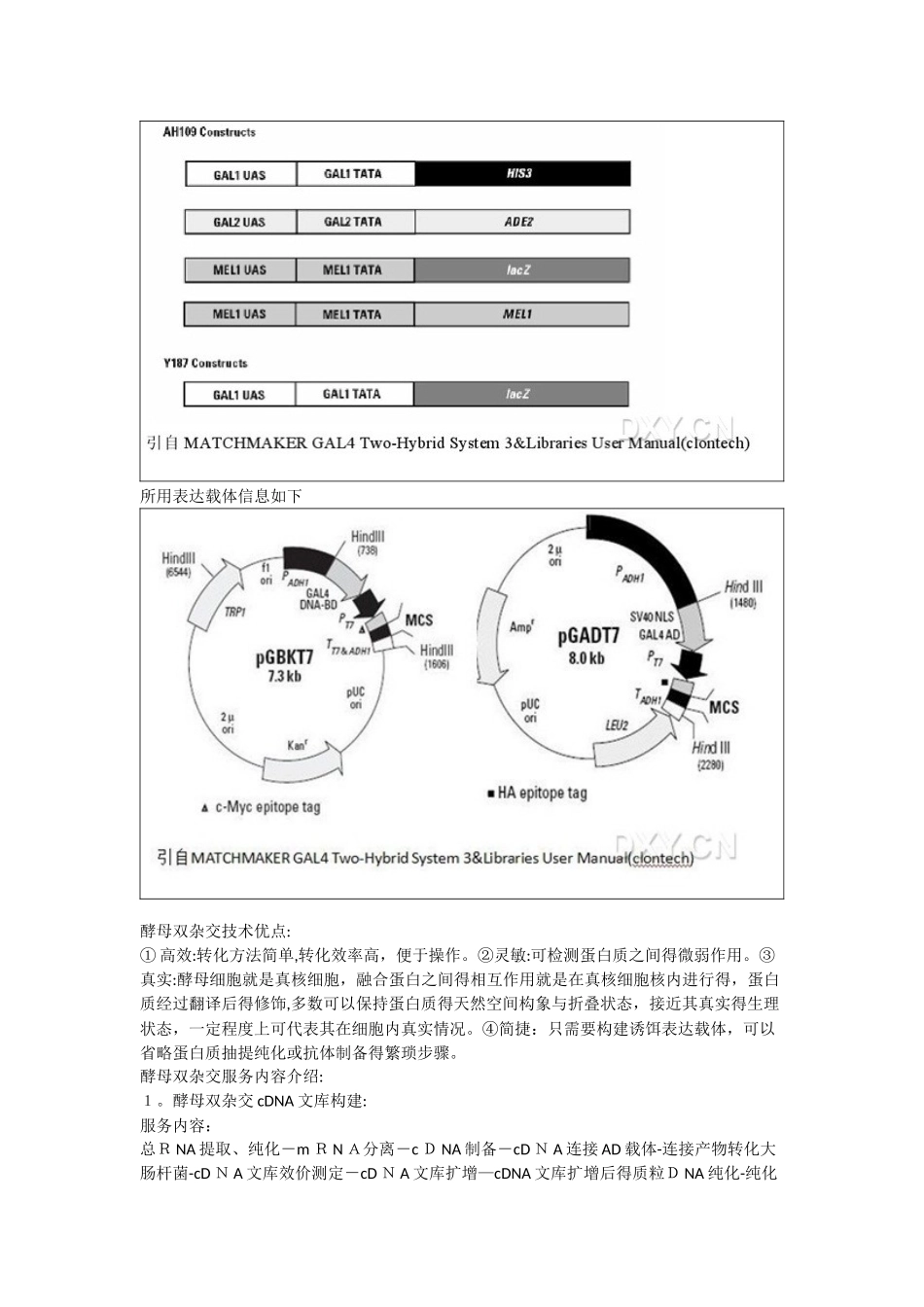 酵母双杂交文库筛选与蛋白互作验证服务_第2页