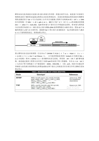 酵母双杂交文库筛选与蛋白互作验证服务