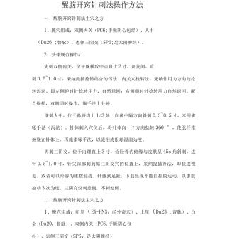 醒脑开窍针刺法操作方法