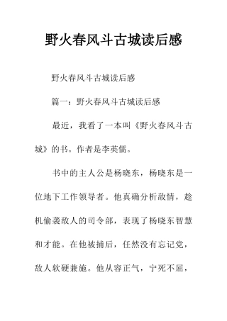 野火春风斗古城读后感