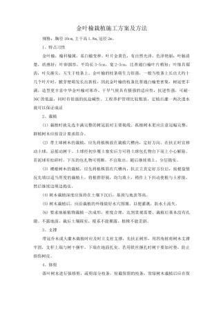 金叶榆栽植施工方案及方法