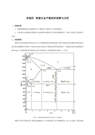铁碳合金平衡组织观察与分析
