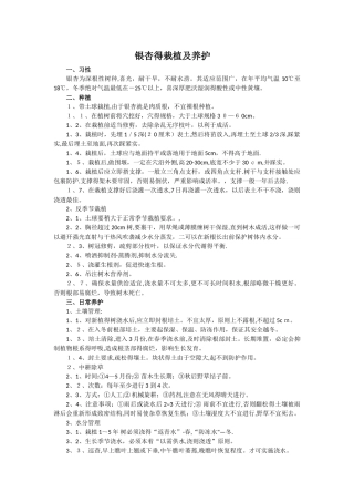 银杏的栽培及养护技术