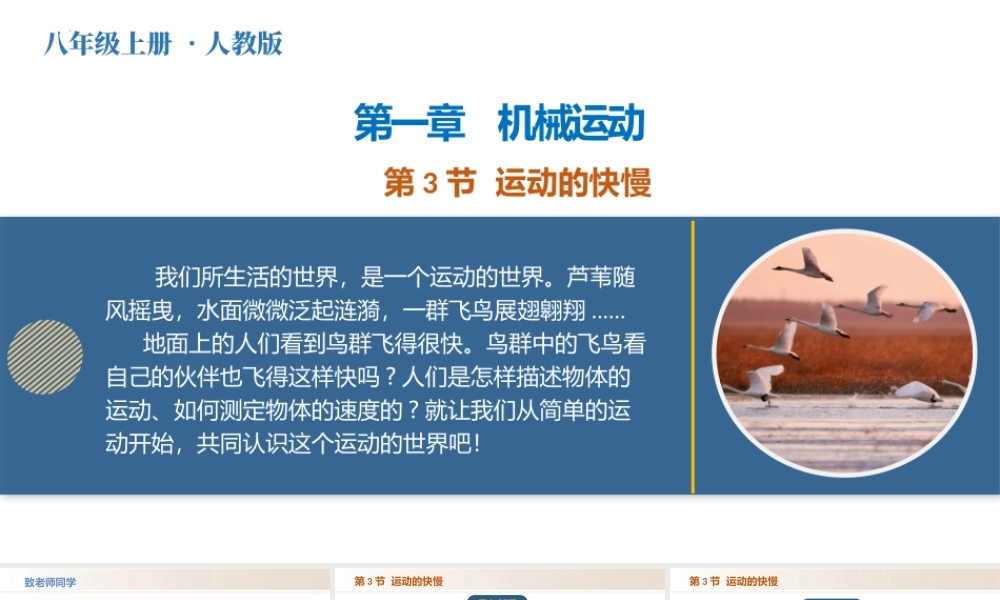  25秋人教八年级物理上册高效课堂1.3+运动的快慢（教学课件）