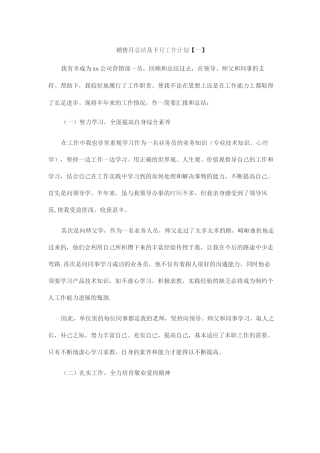销售月总结及下月工作计划