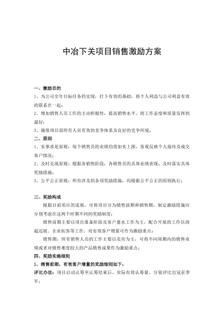 销售激励政策